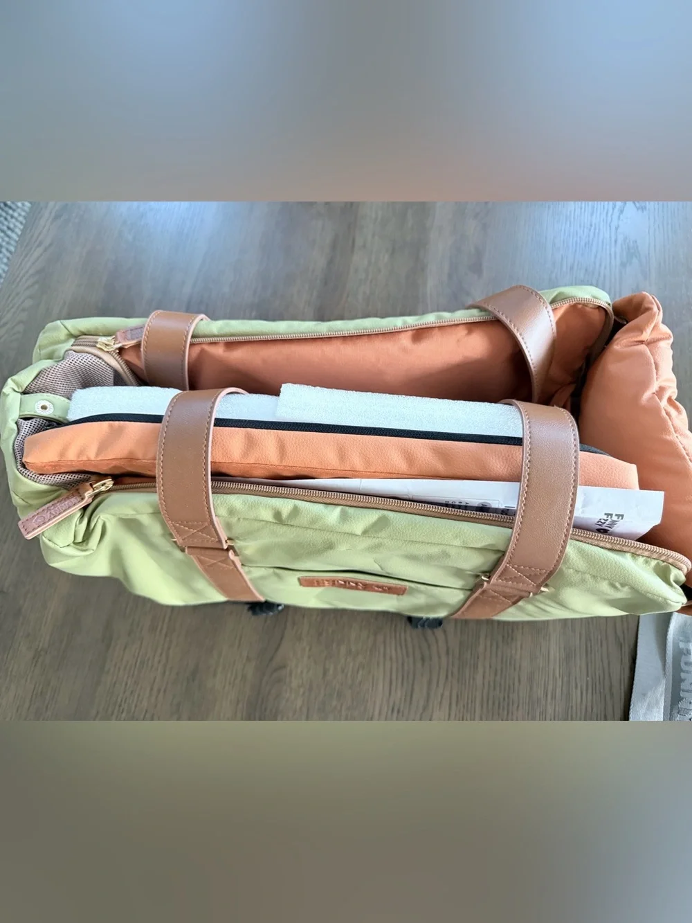 Luxury Pet Carrier and Seat - Green by Funny Fuzzy